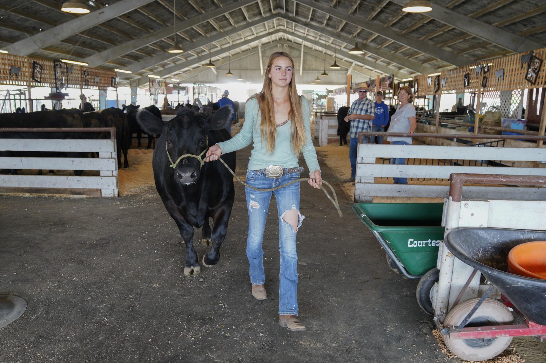 070719 Animals Arrive for Fair 01.jpg